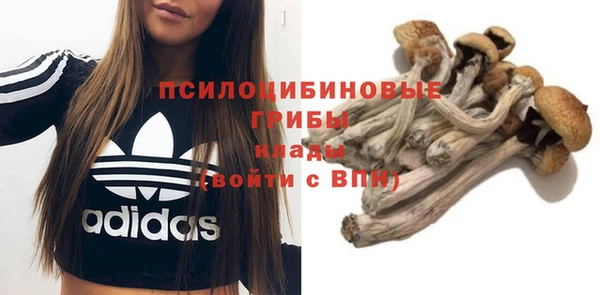 мяу мяу мука Баксан