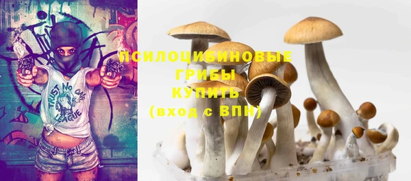 мяу мяу мука Баксан